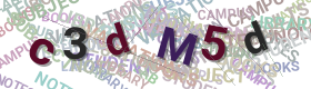 CAPTCHA code