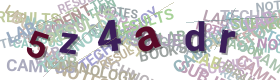 CAPTCHA code